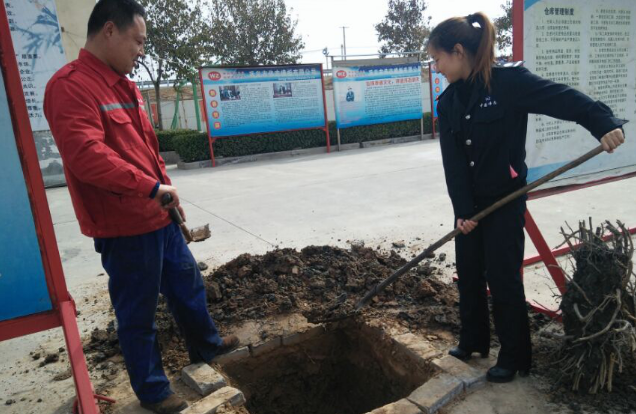 播下綠色樹種，放飛中國偉志的希望