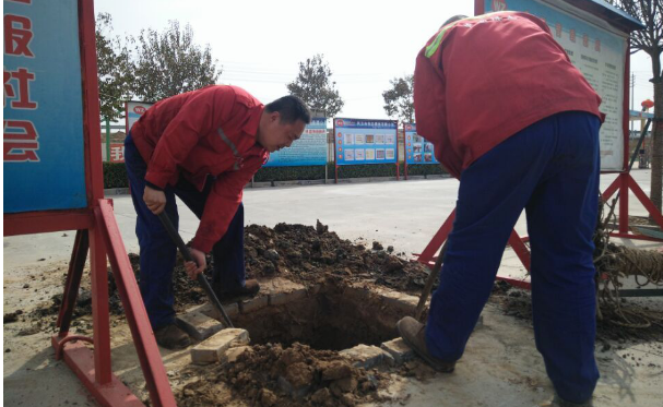 播下綠色樹種，放飛中國偉志的希望