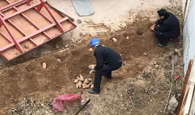 鋼模板廠家播下希望，收獲果實