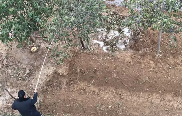 鋼模板廠家播下希望，收獲果實