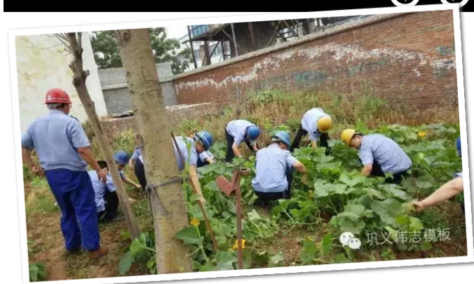 員工冒雨參加義務勞動！感動———偉志鋼模板廠家