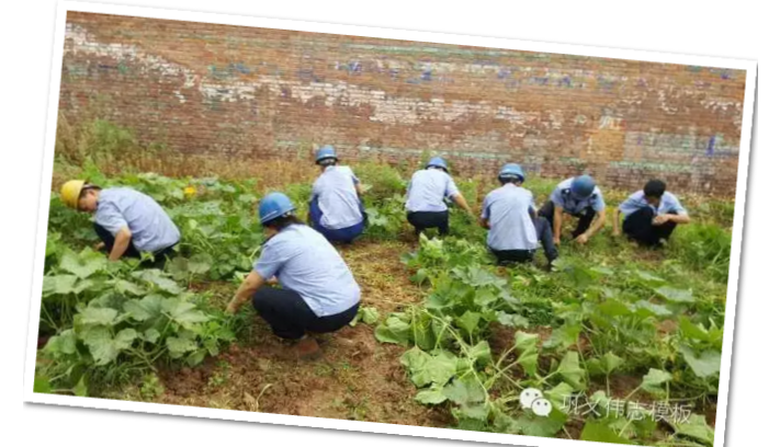 員工冒雨參加義務勞動！感動———偉志鋼模板廠家
