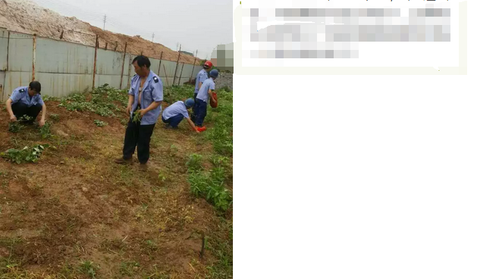 員工冒雨參加義務勞動！感動———偉志鋼模板廠家