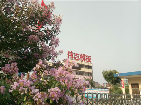 專業 專注，河南偉志模板在2018年期待您的光臨