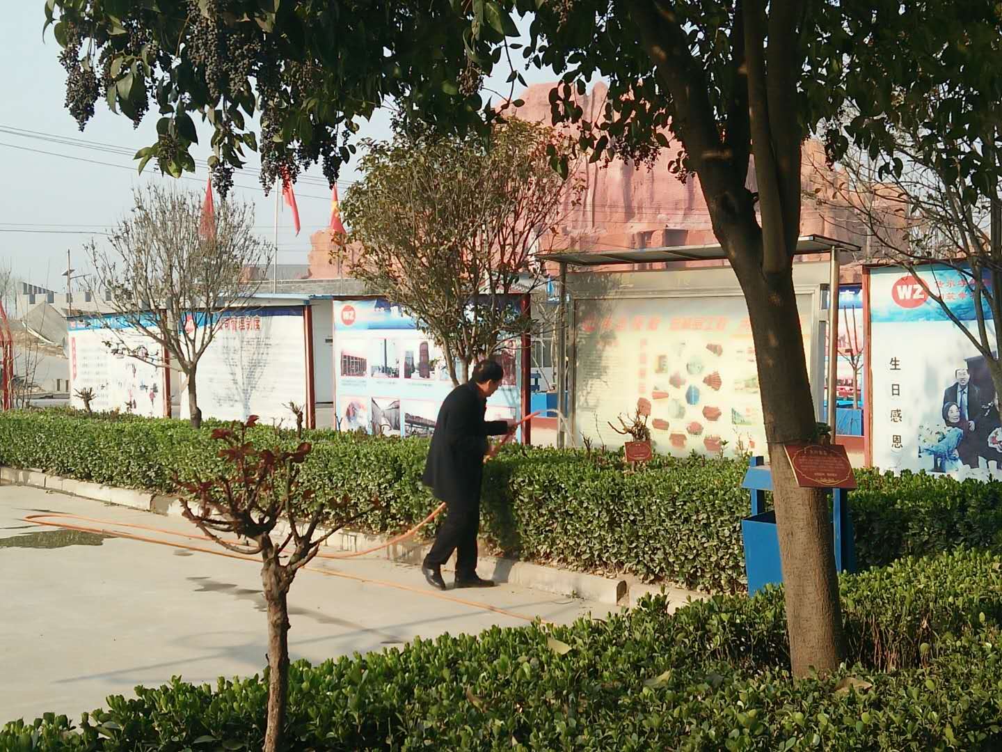 身先力行，偉志模板來董說：植樹就要護(hù)理好