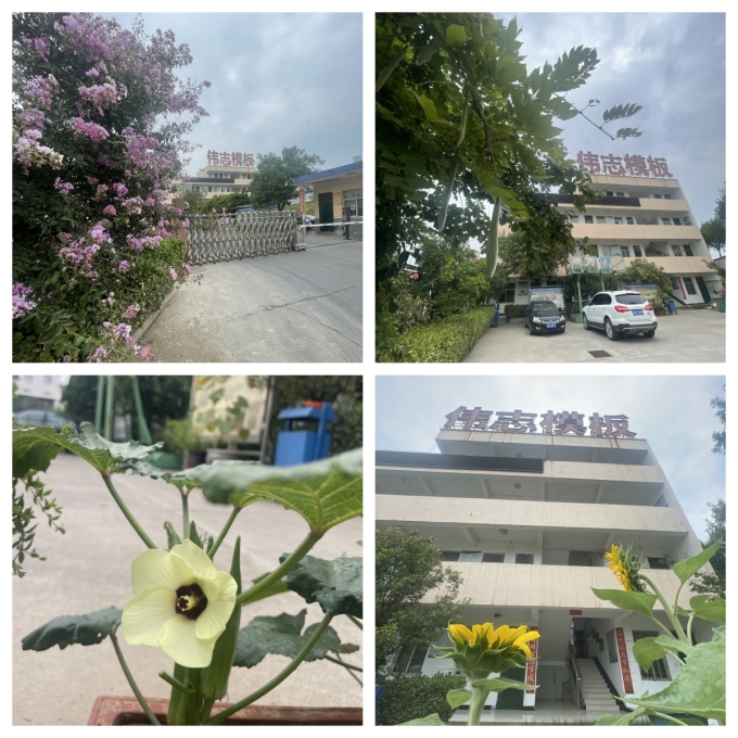 夏至來臨，期待美好