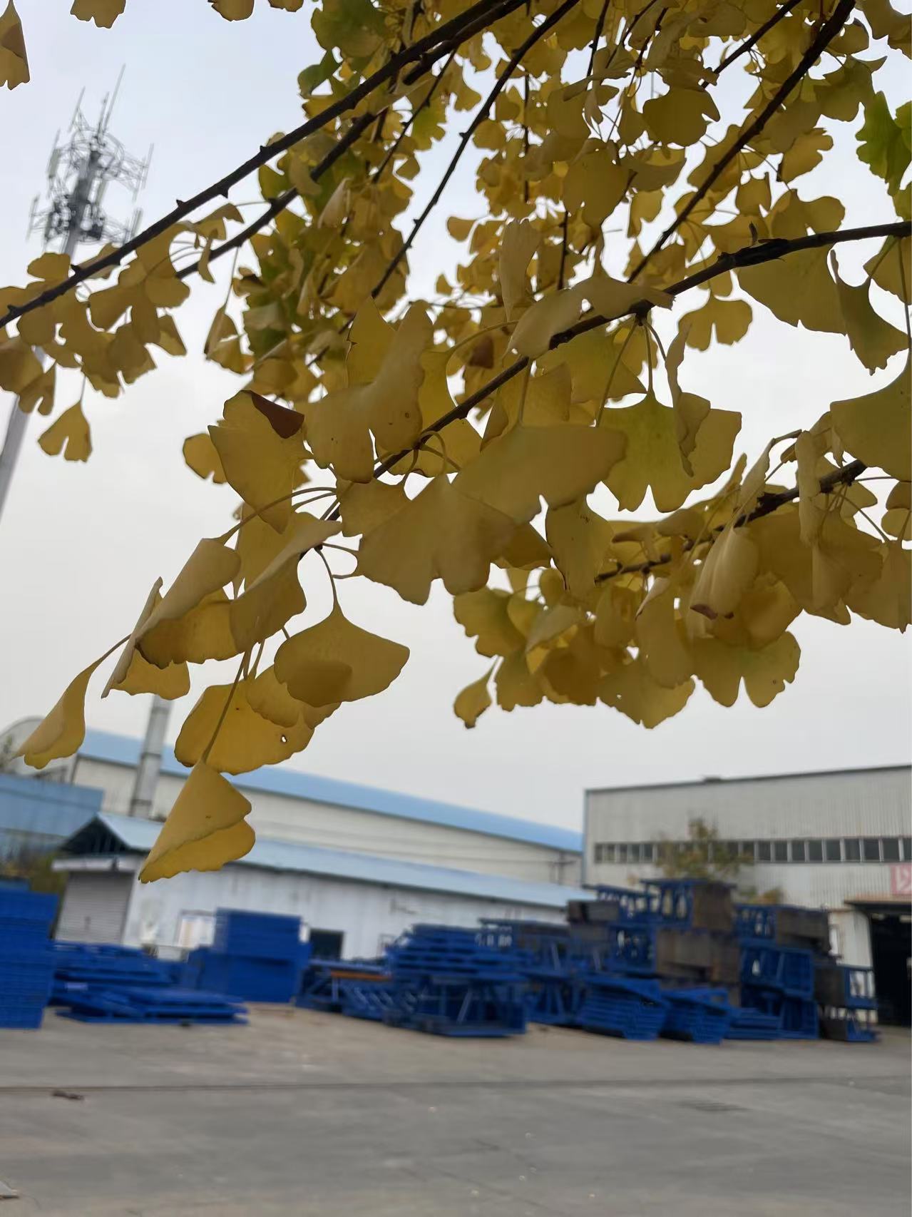 偉志模板提醒您記得保暖!