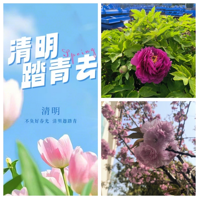 踏春的季節,美麗的偉志模板